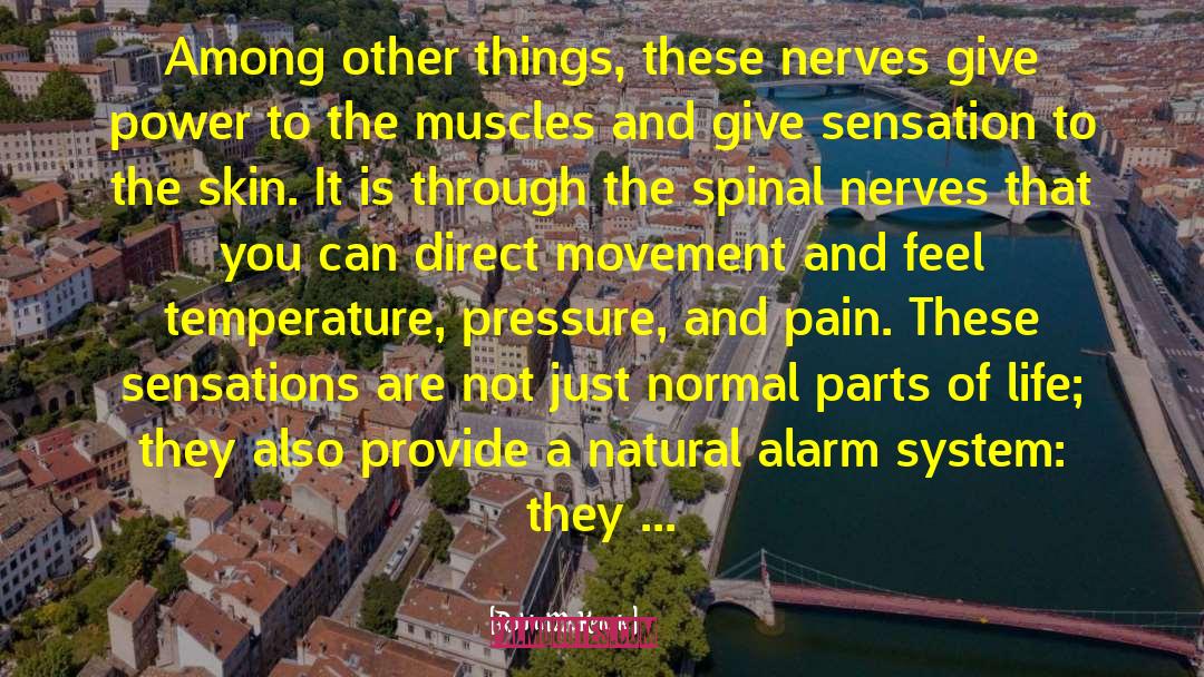 Vascular System quotes by Robin McKenzie