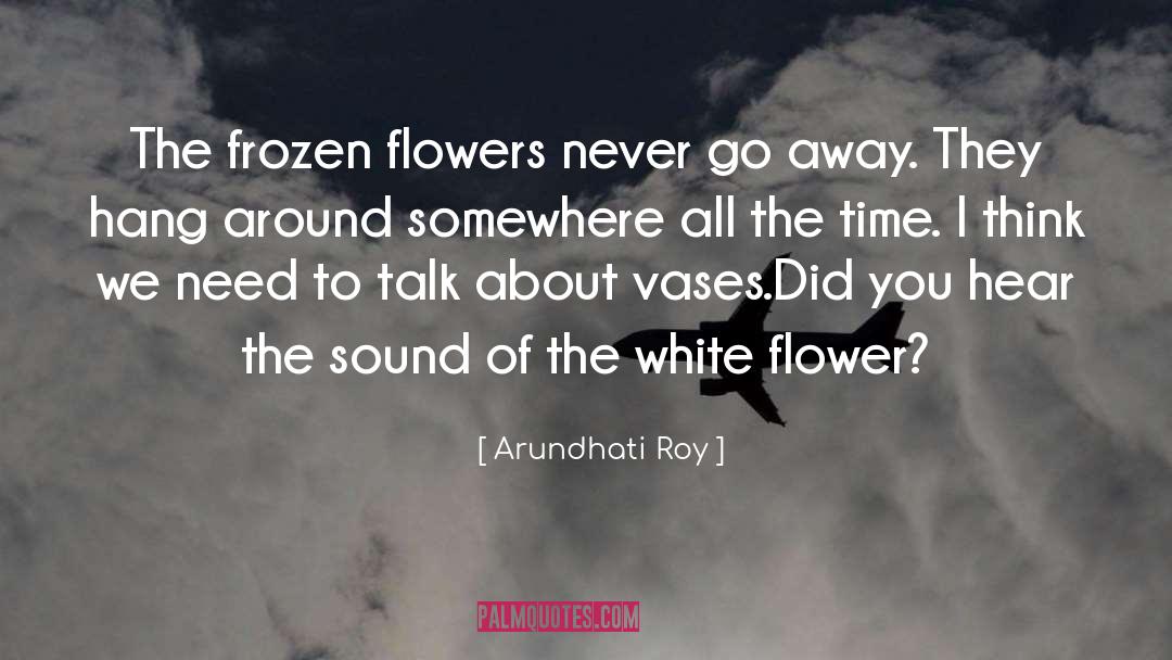 Vases quotes by Arundhati Roy