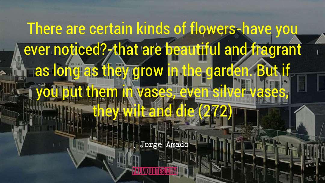 Vases quotes by Jorge Amado
