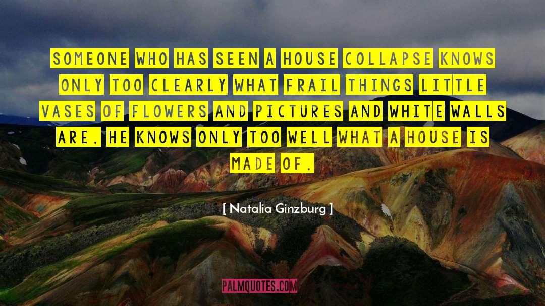 Vases quotes by Natalia Ginzburg