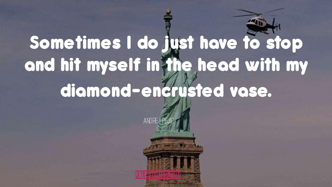 Vases quotes by Andrej Pejic