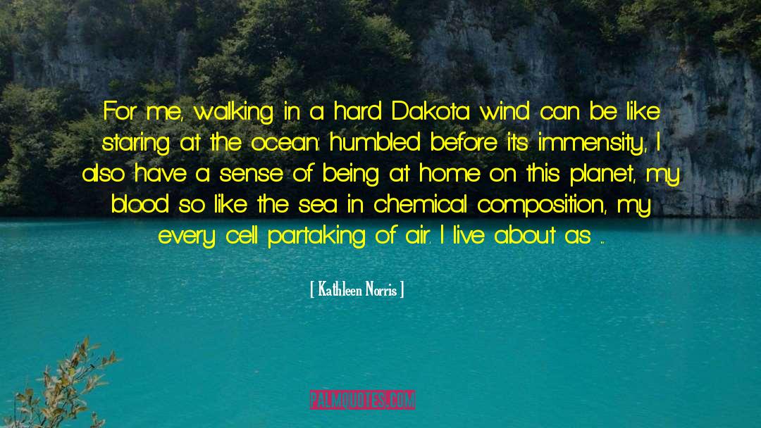 Vast Ocean quotes by Kathleen Norris