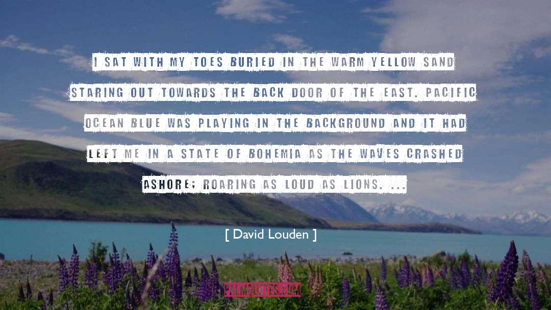 Vast Ocean quotes by David Louden
