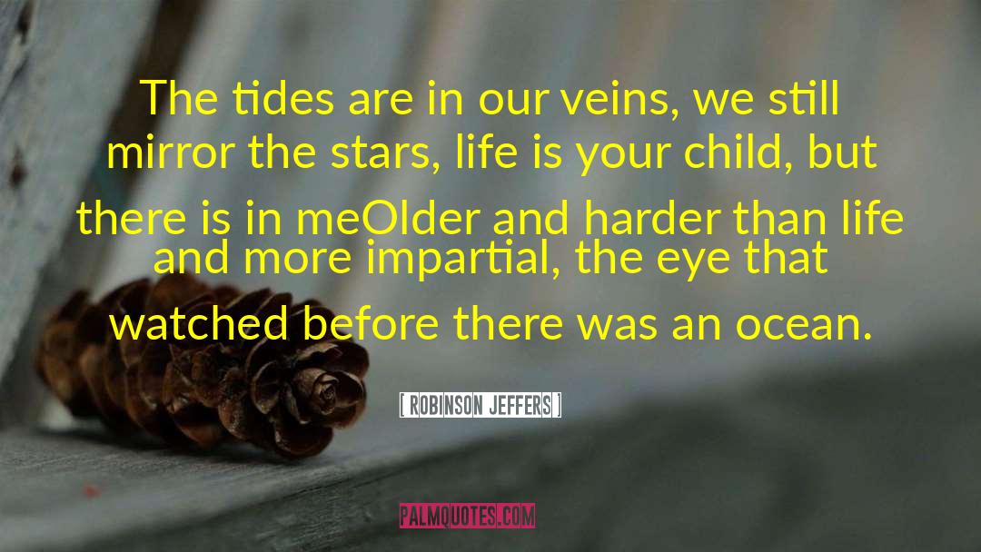 Vast Ocean quotes by Robinson Jeffers