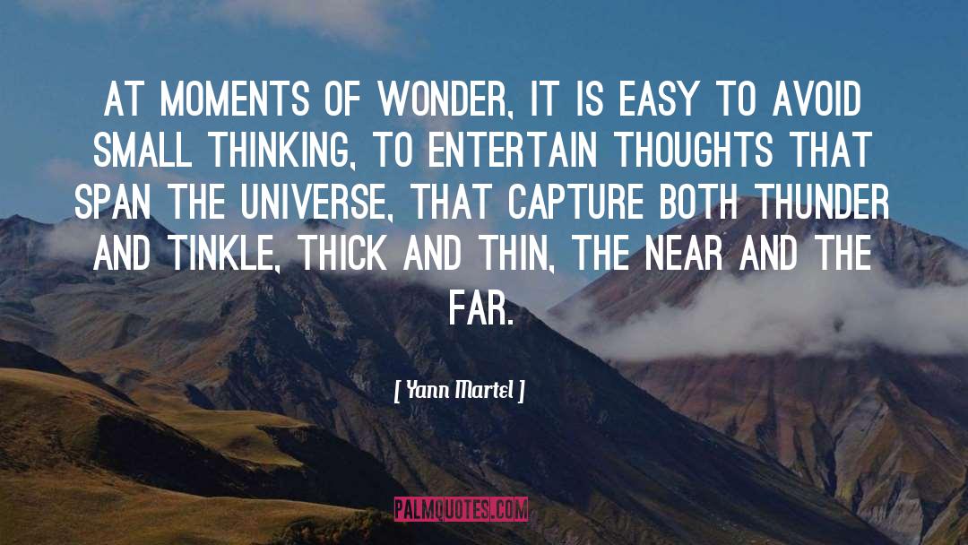 Vast Universe quotes by Yann Martel