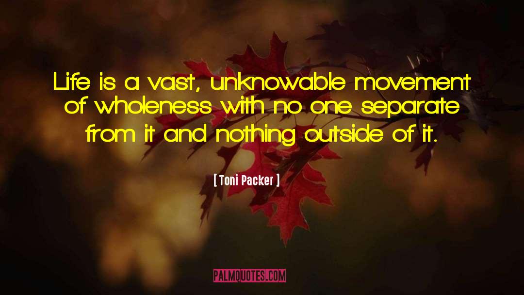 Vastness quotes by Toni Packer