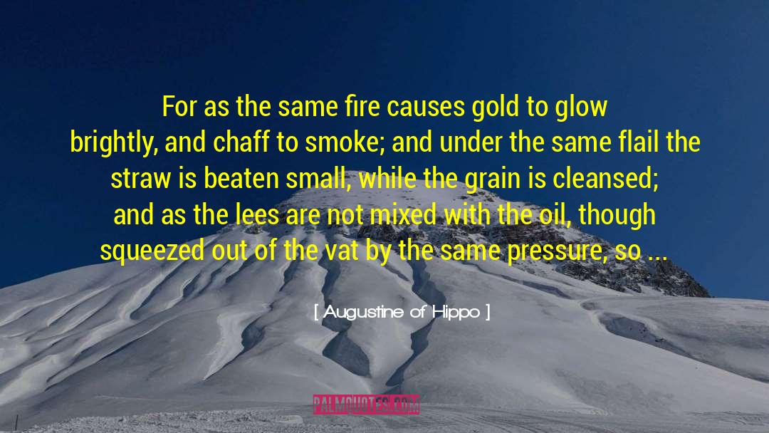 Vat In Uae quotes by Augustine Of Hippo