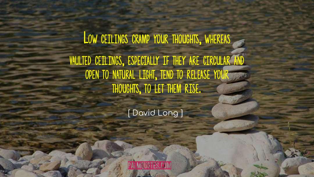 Vaulted Ceiling quotes by David Long