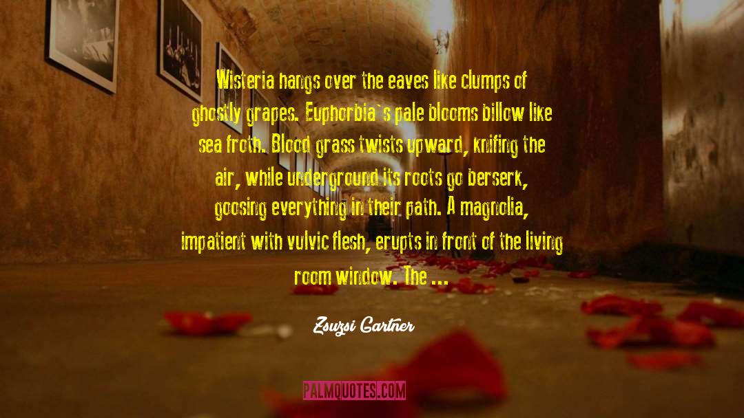 Ve Therapy quotes by Zsuzsi Gartner