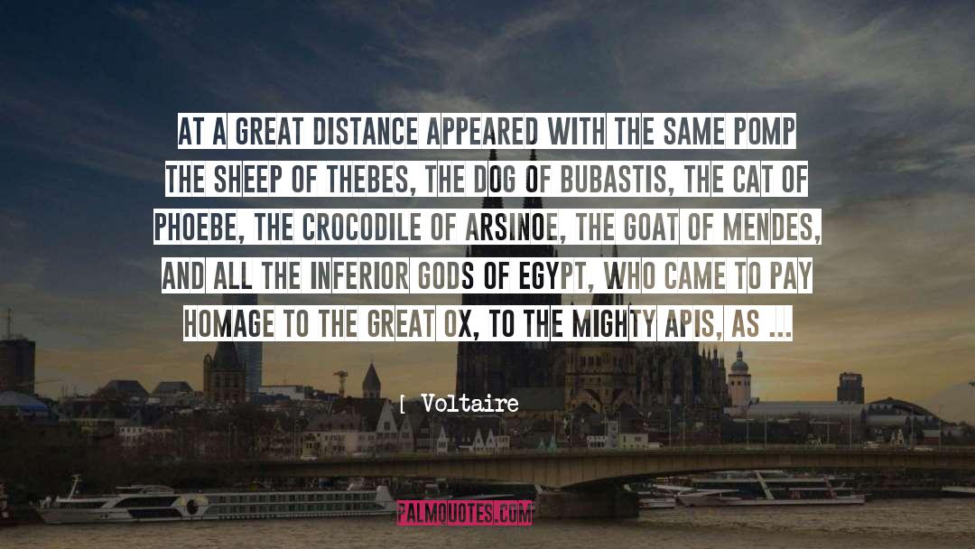 Vegan Cat quotes by Voltaire