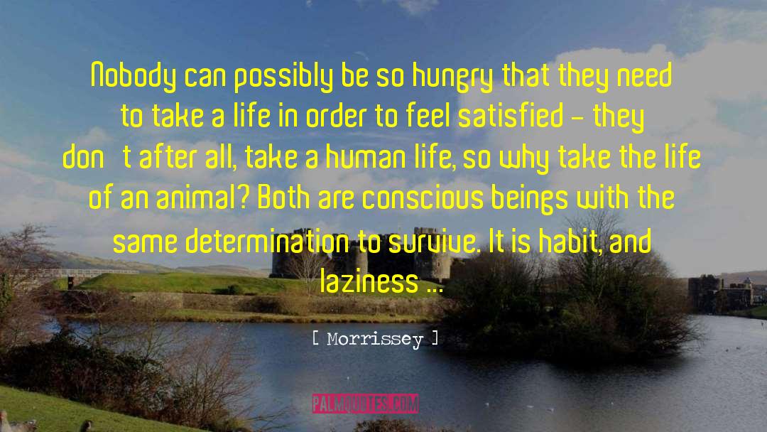 Veganism quotes by Morrissey