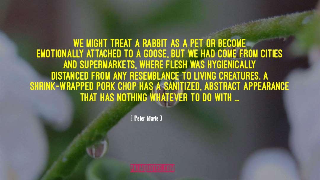 Veganism quotes by Peter Mayle