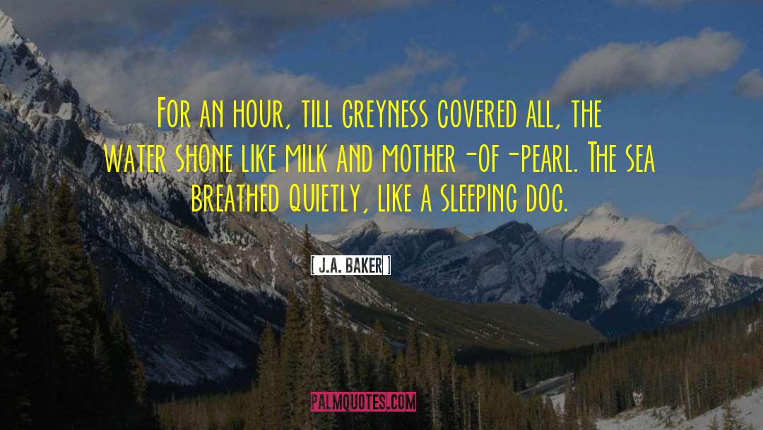 Vegetables And Milk quotes by J.A. Baker