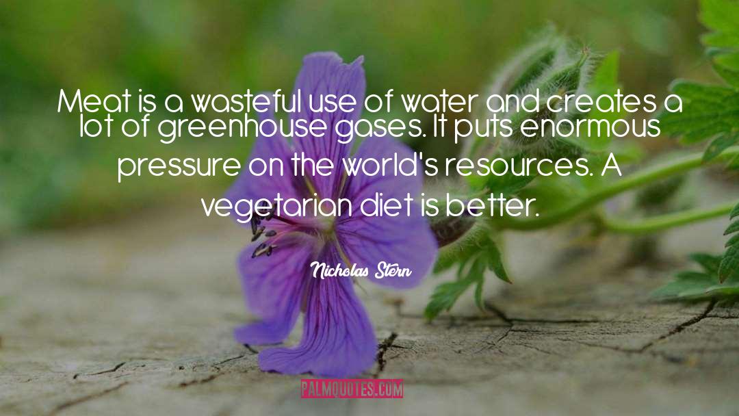 Vegetarian Diet quotes by Nicholas Stern