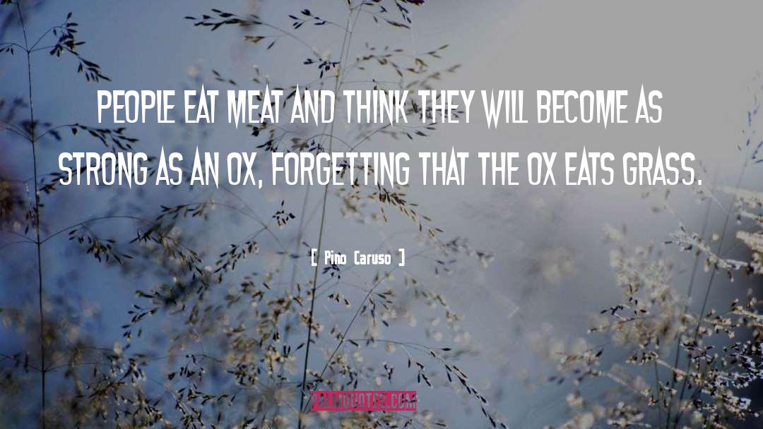 Vegetarianism quotes by Pino Caruso