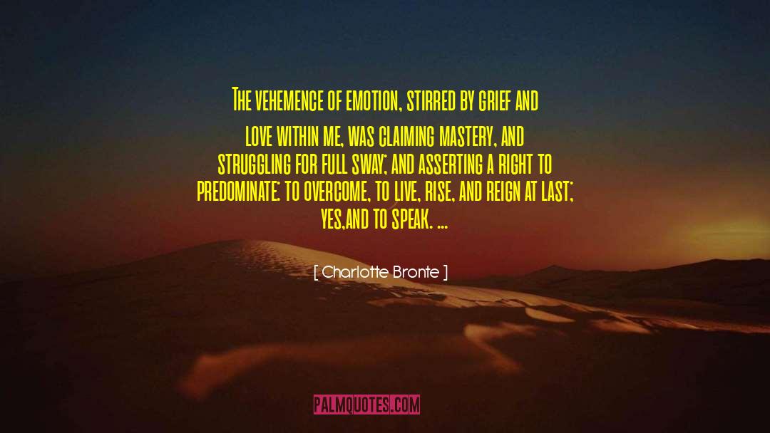 Vehemence quotes by Charlotte Bronte