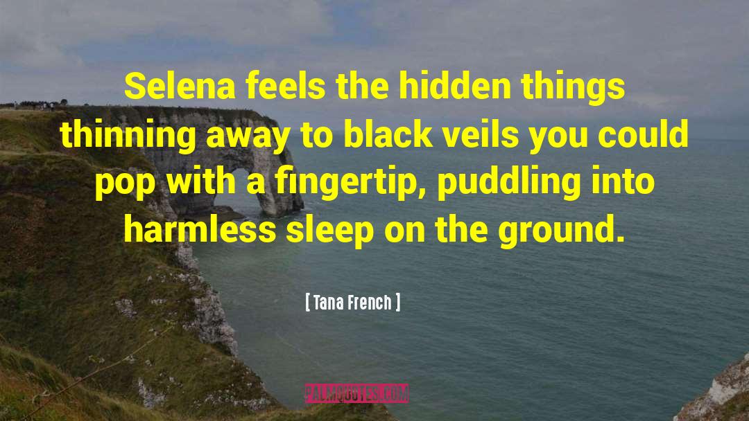 Veils quotes by Tana French