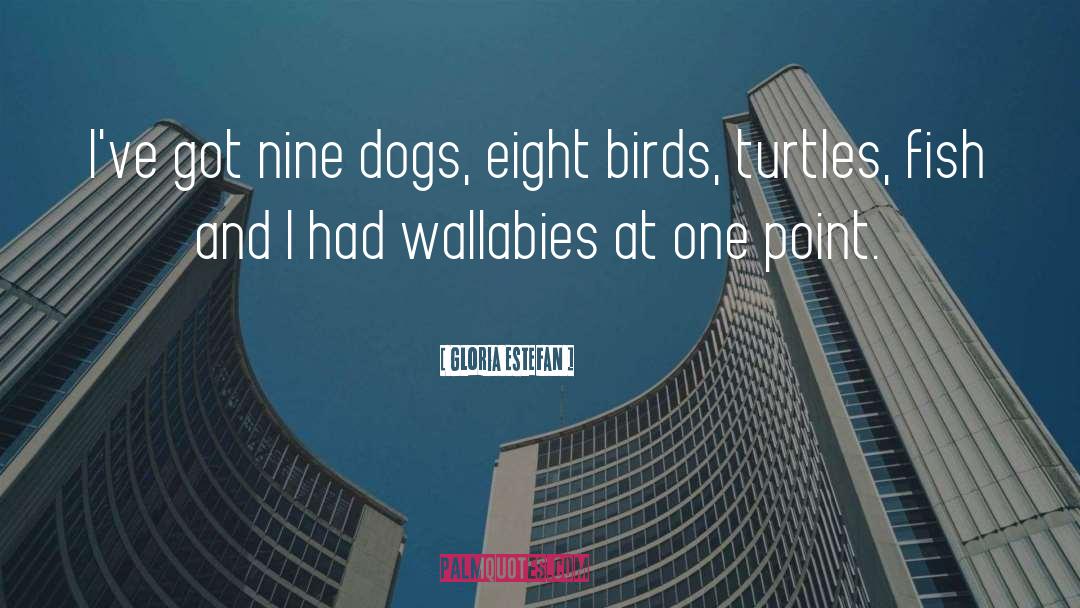 Velga Dog quotes by Gloria Estefan