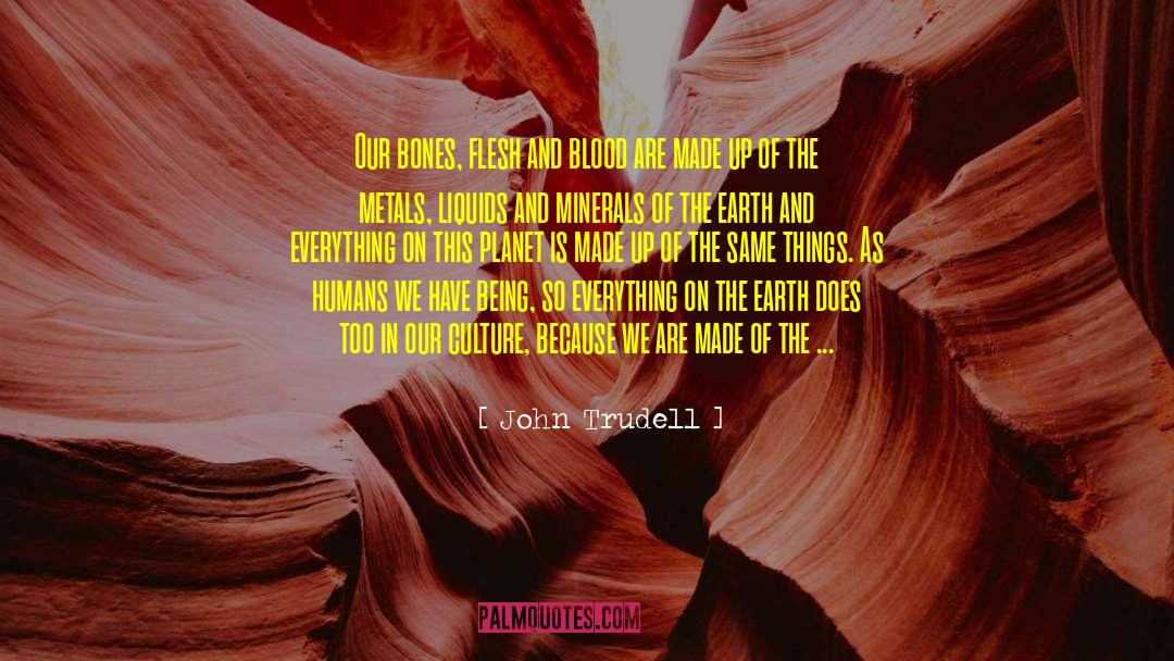 Velvet Bones quotes by John Trudell