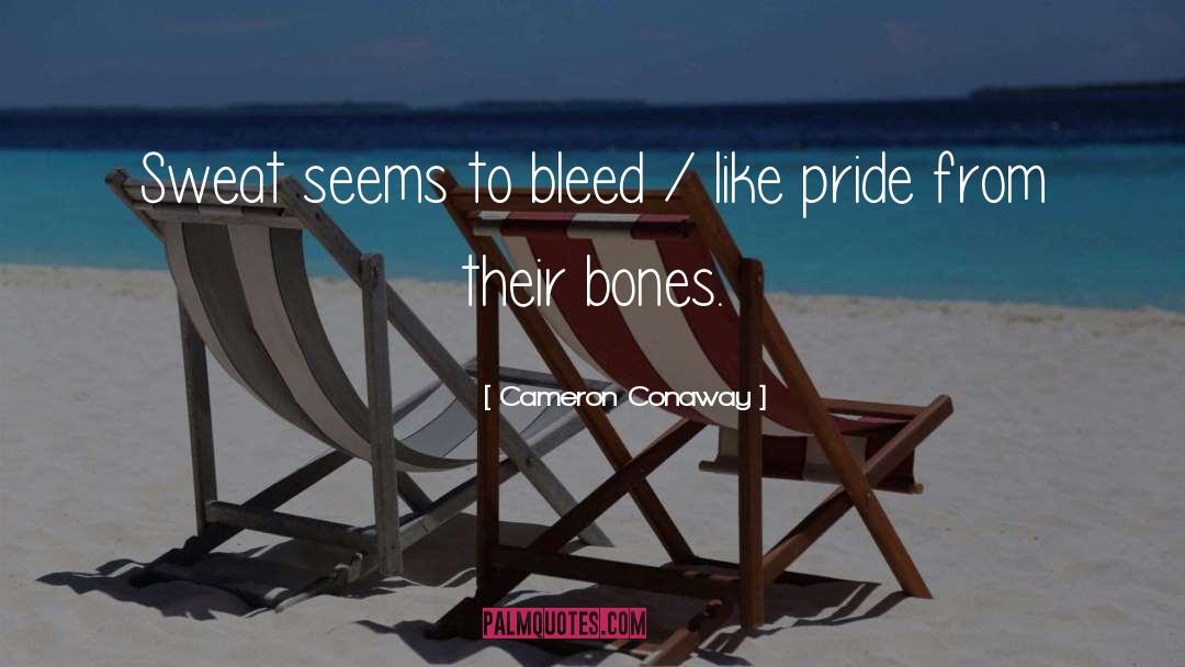 Velvet Bones quotes by Cameron Conaway