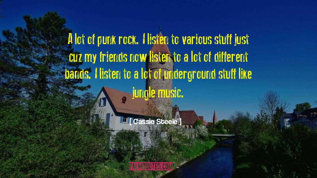 Velvet Underground quotes by Cassie Steele