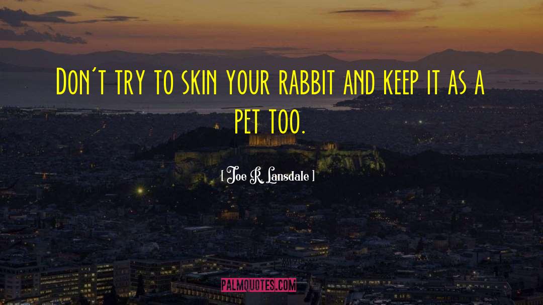 Velveteen Rabbit quotes by Joe R. Lansdale