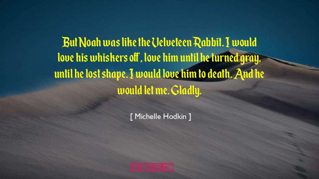 Velveteen Rabbit quotes by Michelle Hodkin