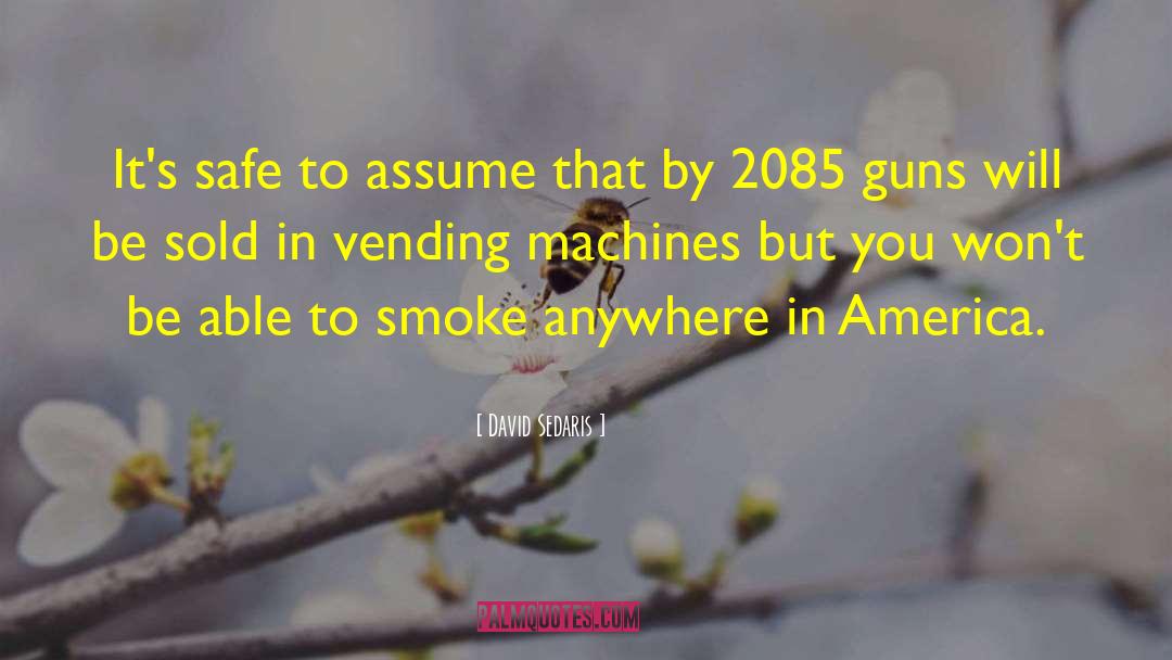 Vending Machines quotes by David Sedaris