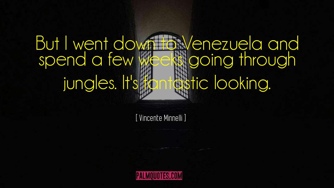 Venezuela quotes by Vincente Minnelli