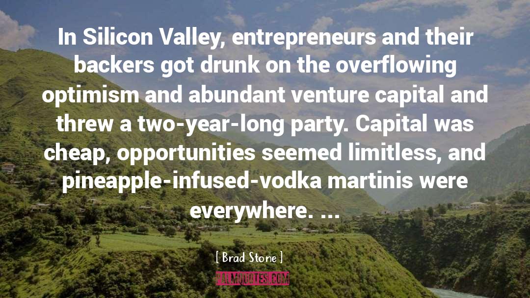 Venture Capital quotes by Brad Stone