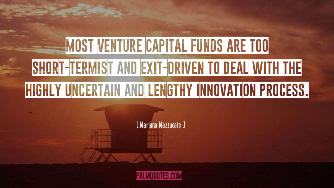 Venture Capital quotes by Mariana Mazzucato