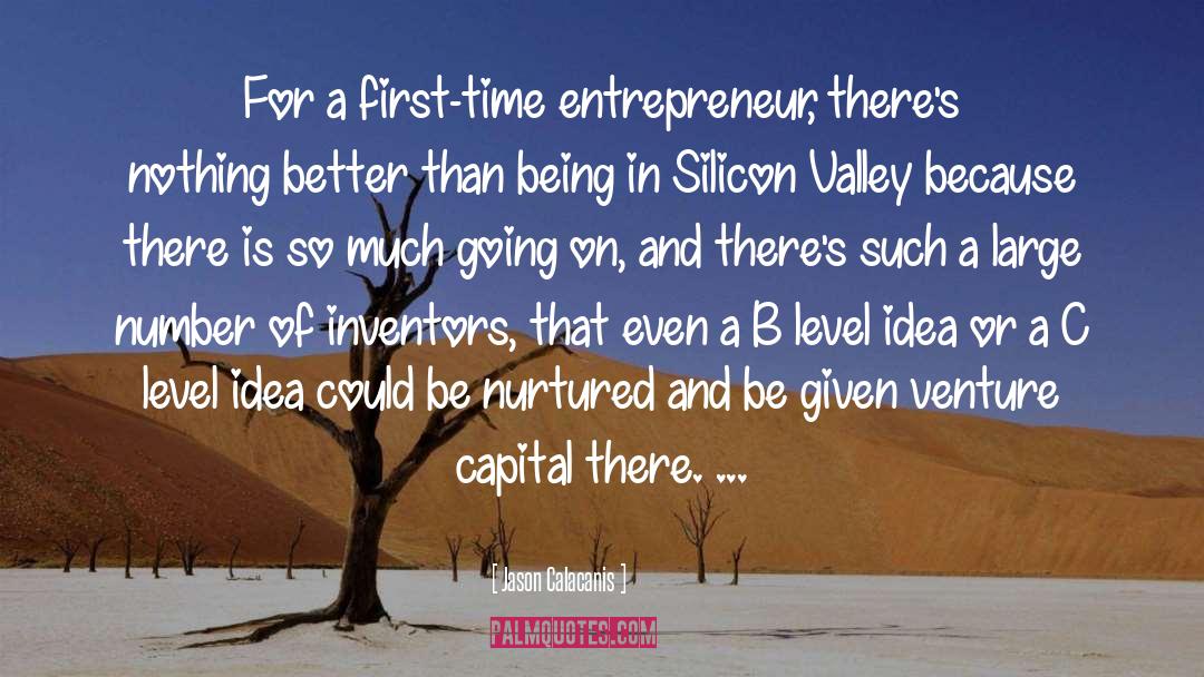 Venture Capital quotes by Jason Calacanis