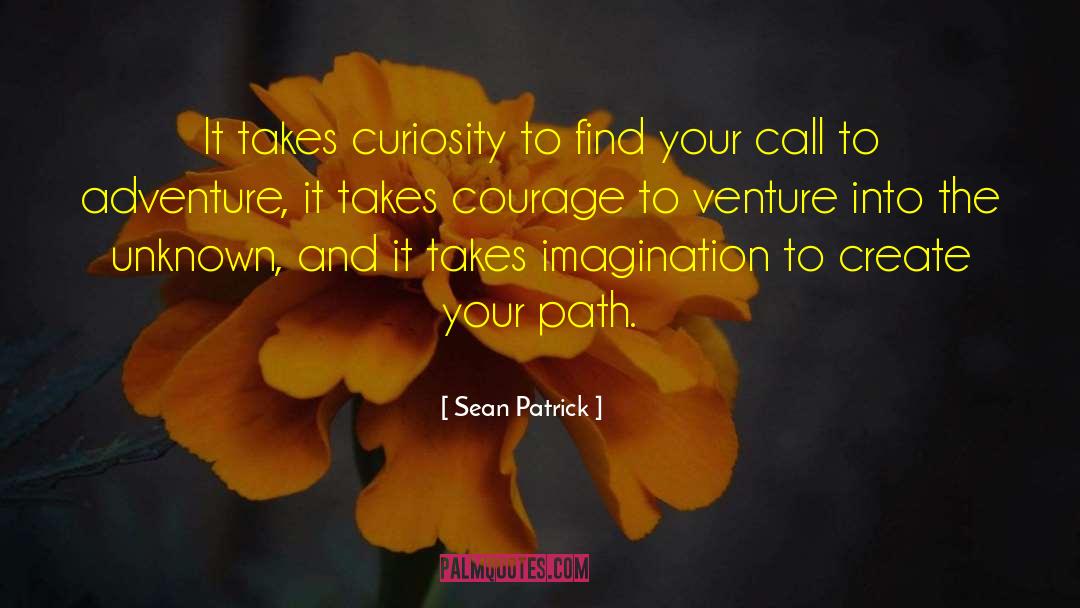 Venture quotes by Sean Patrick