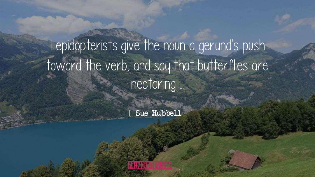Verb quotes by Sue Hubbell
