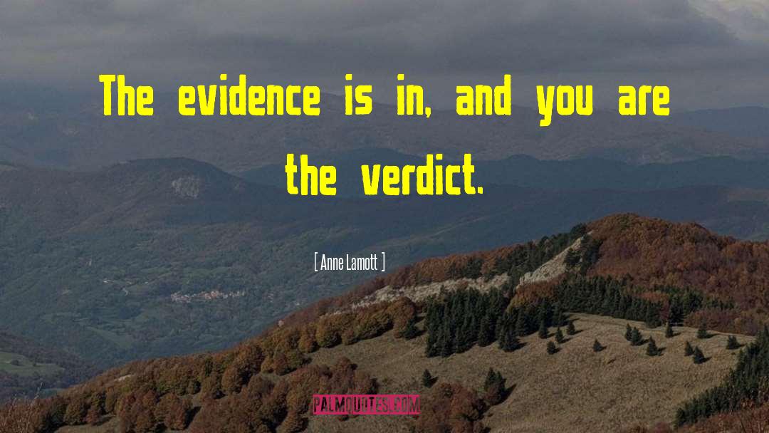 Verdict quotes by Anne Lamott