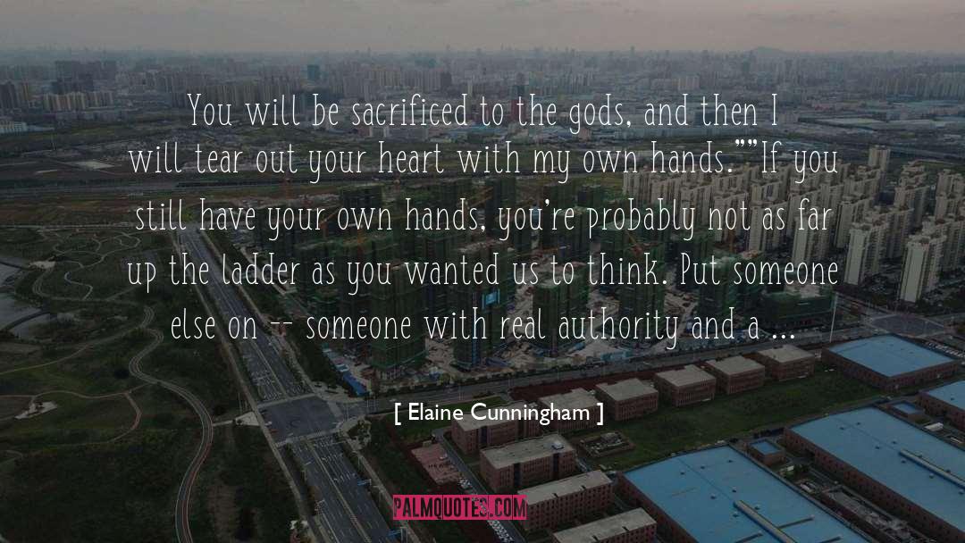 Verduyn Replacement quotes by Elaine Cunningham