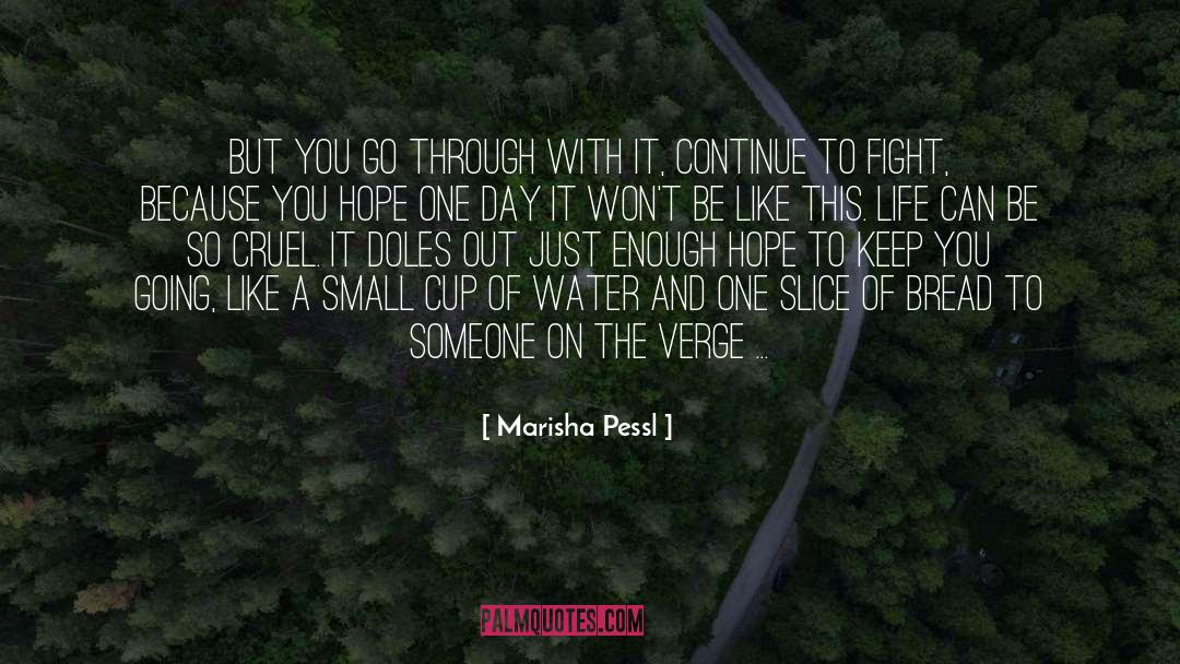 Verge quotes by Marisha Pessl