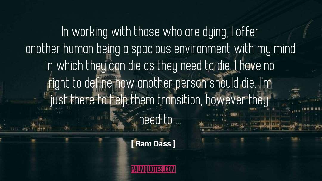 Verhindern Dass quotes by Ram Dass