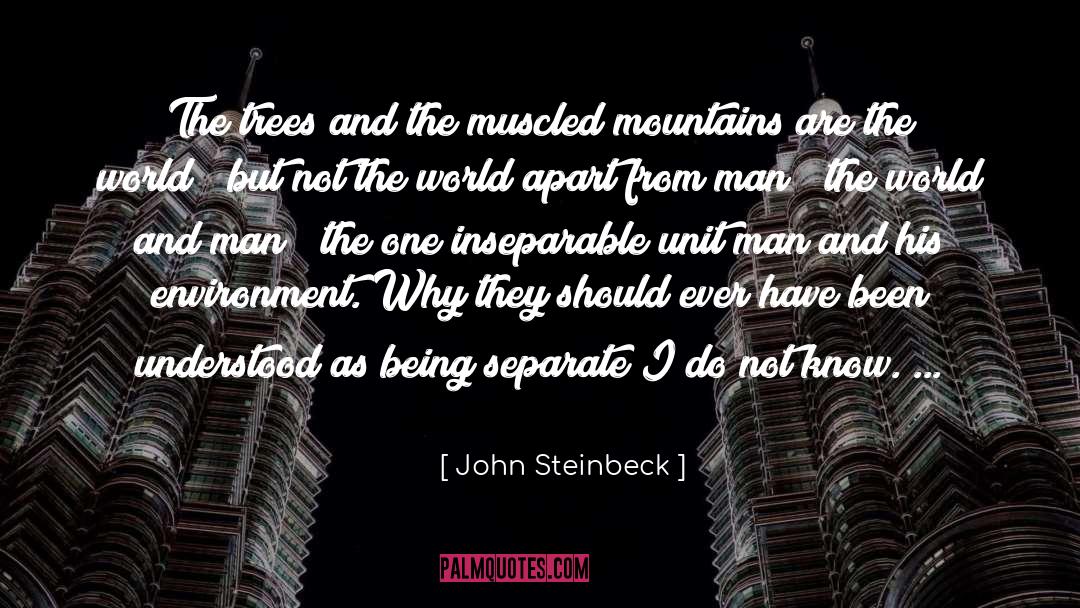 Vermont Trees quotes by John Steinbeck