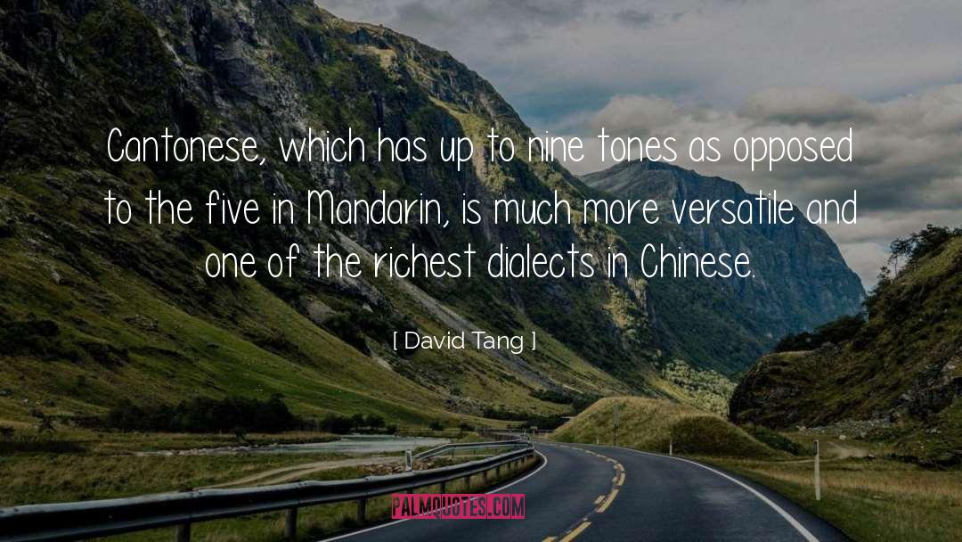 Versatile quotes by David Tang