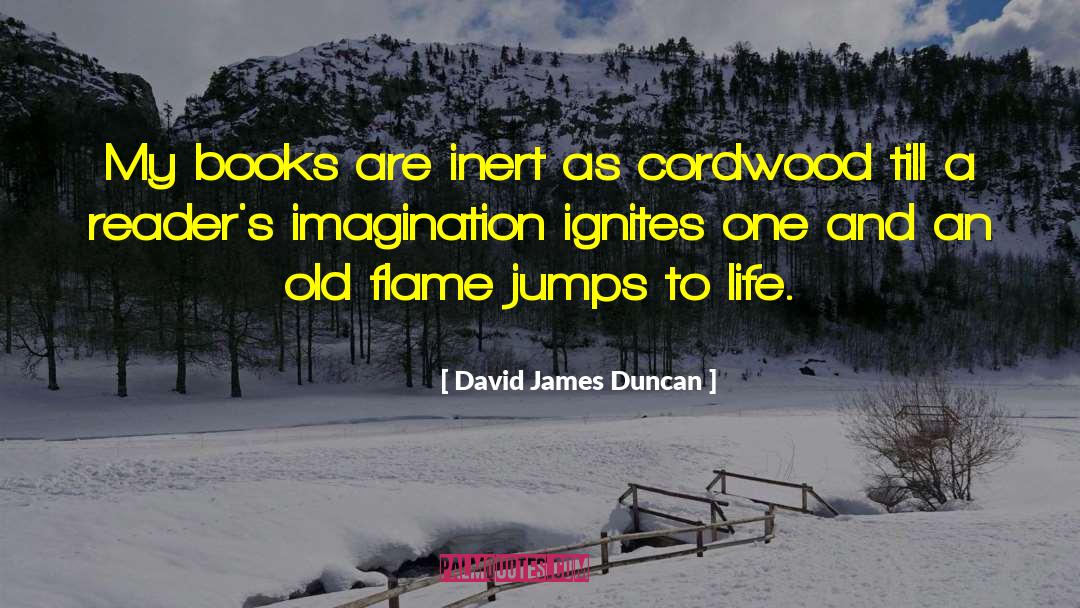 Verse Ignite Ignite quotes by David James Duncan