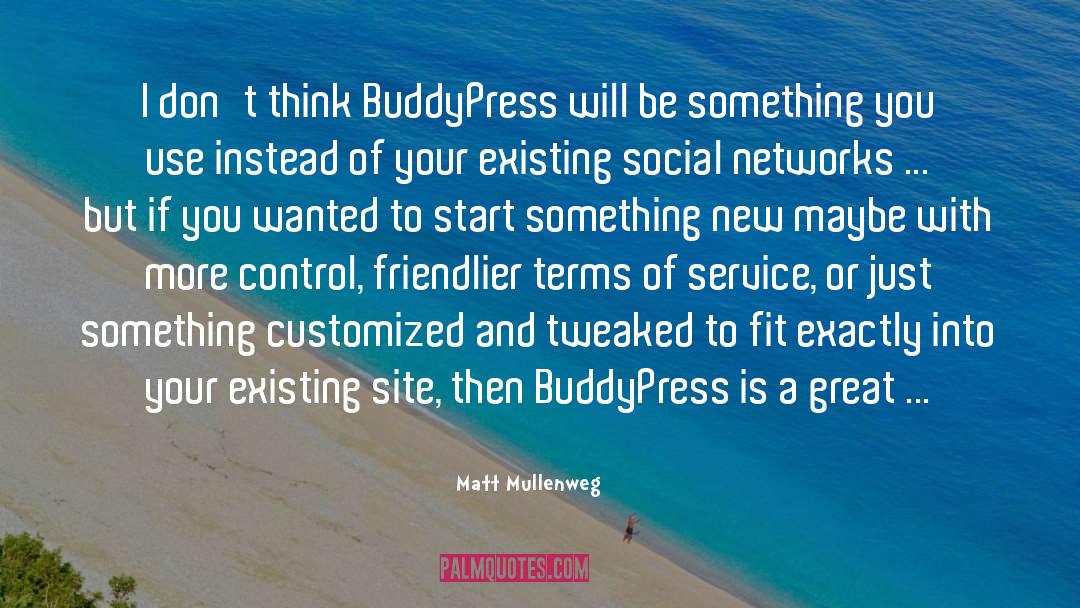 Version Control quotes by Matt Mullenweg