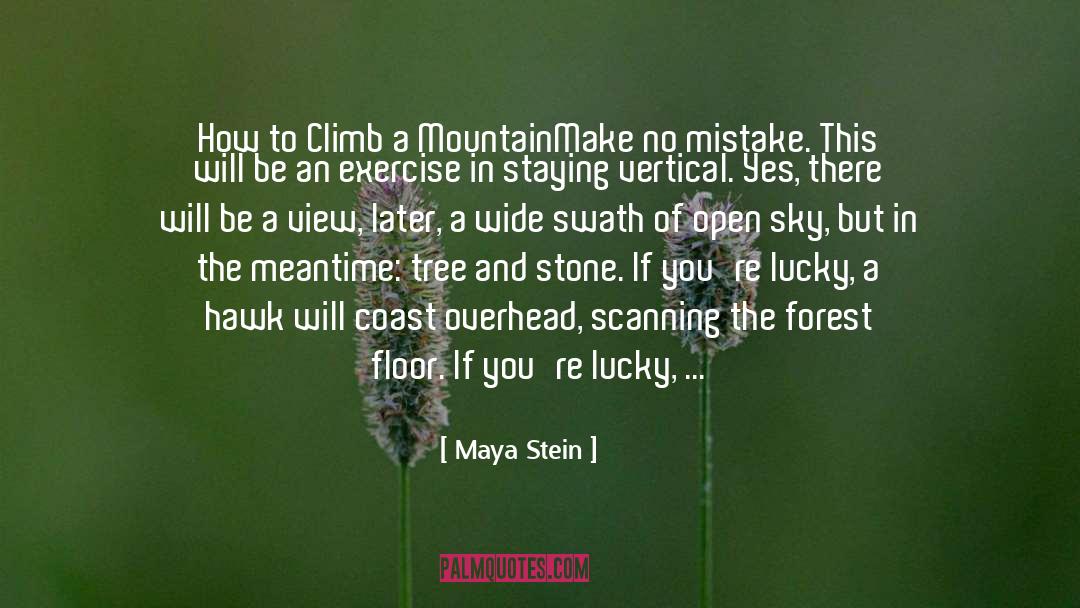Vertical quotes by Maya Stein