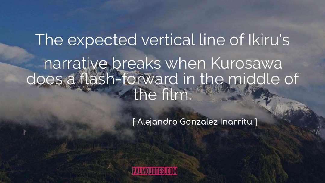 Vertical quotes by Alejandro Gonzalez Inarritu