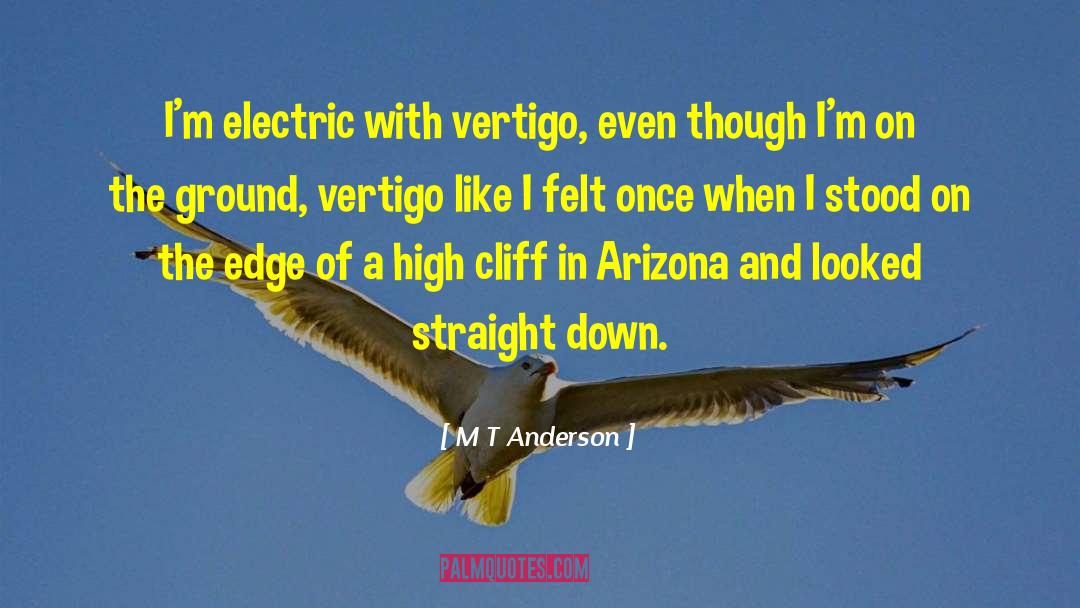 Vertigo quotes by M T Anderson
