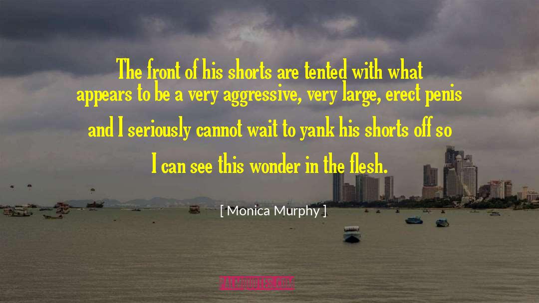 Very Large quotes by Monica Murphy