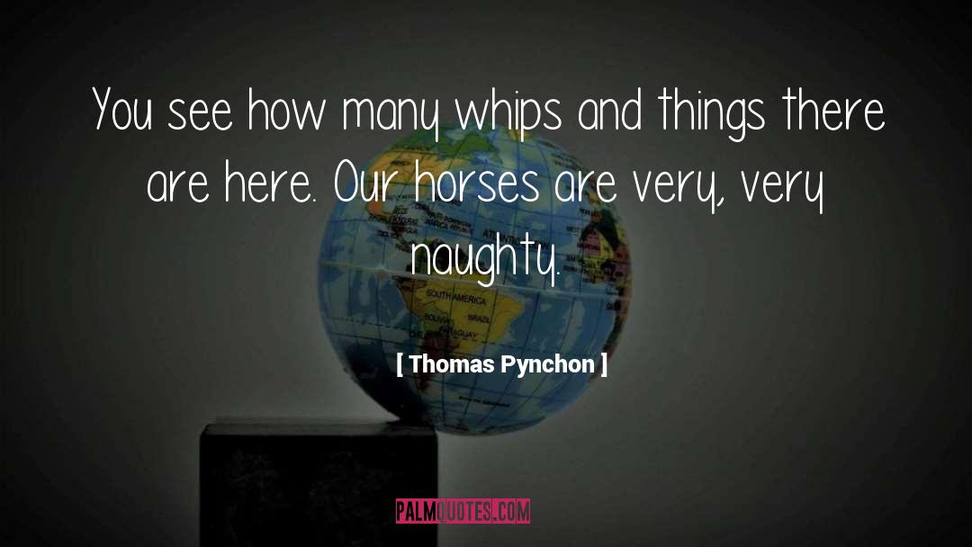 Very Naughty Riddle quotes by Thomas Pynchon