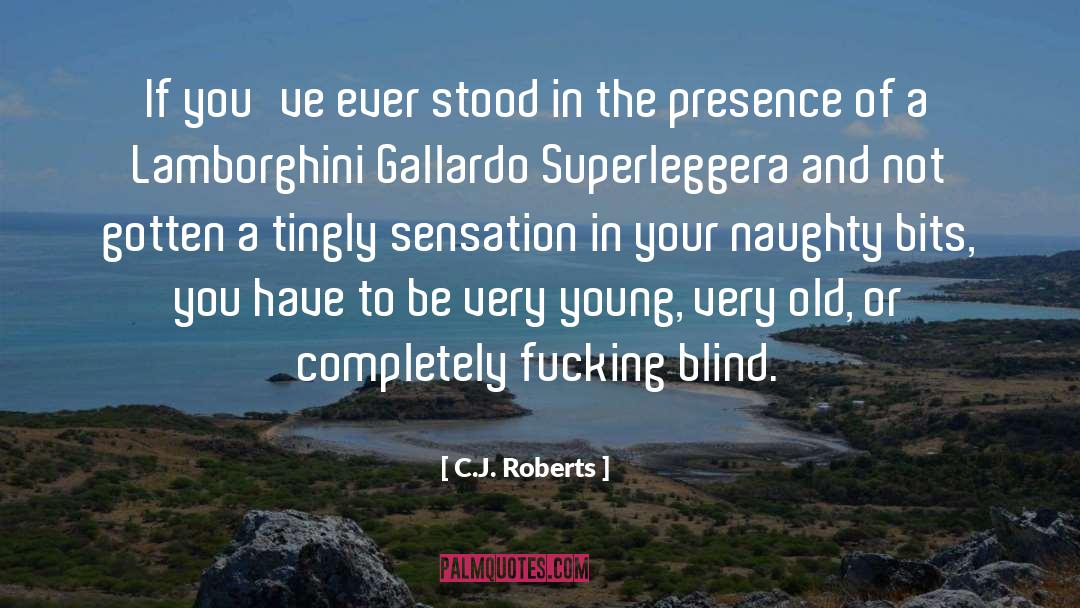 Very Naughty Riddle quotes by C.J. Roberts