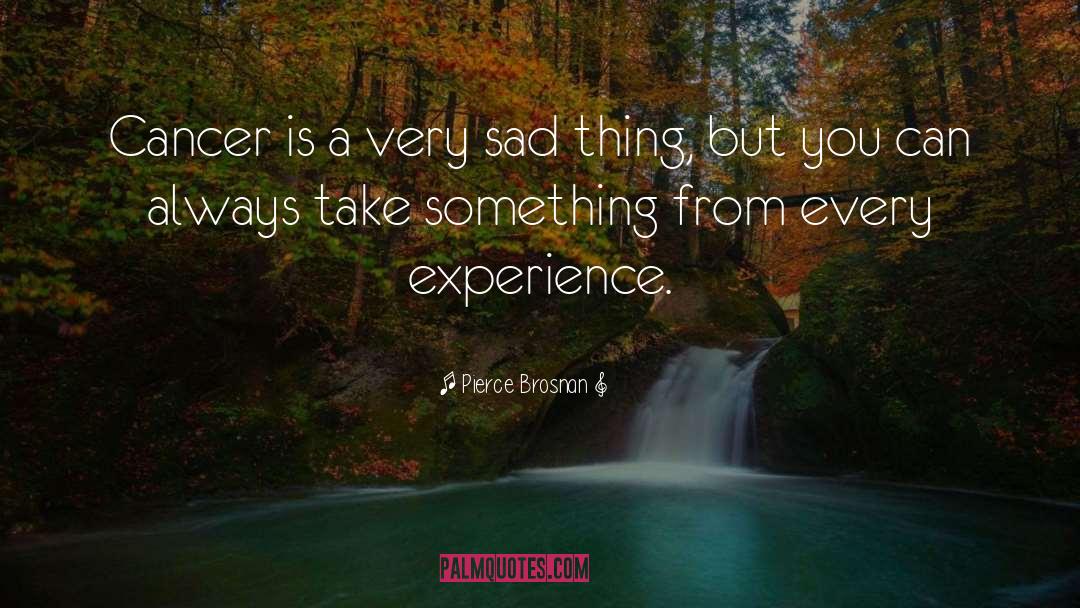 Very Sad quotes by Pierce Brosnan