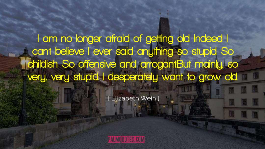 Very Stupid quotes by Elizabeth Wein